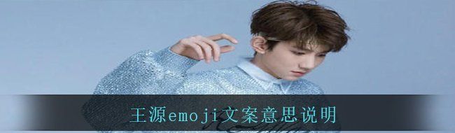 王源emoji文案意思说明