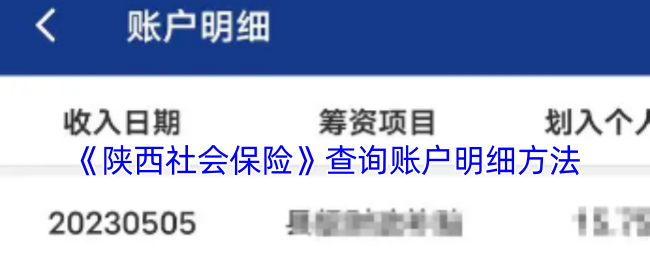 《陕西社会保险》查询账户明细方法